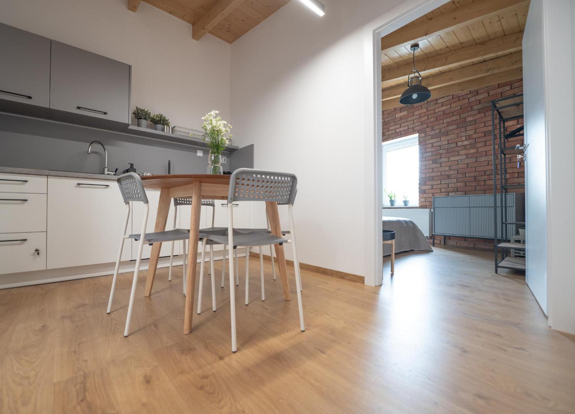 Apartamenty Mlynska 5 Bielsko-Biała Exterior photo